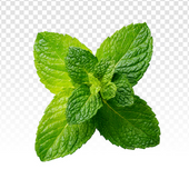 Mint Leaves