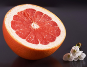 Grapefruit