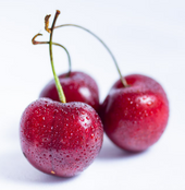 Cherry