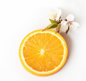 Orange Blossom
